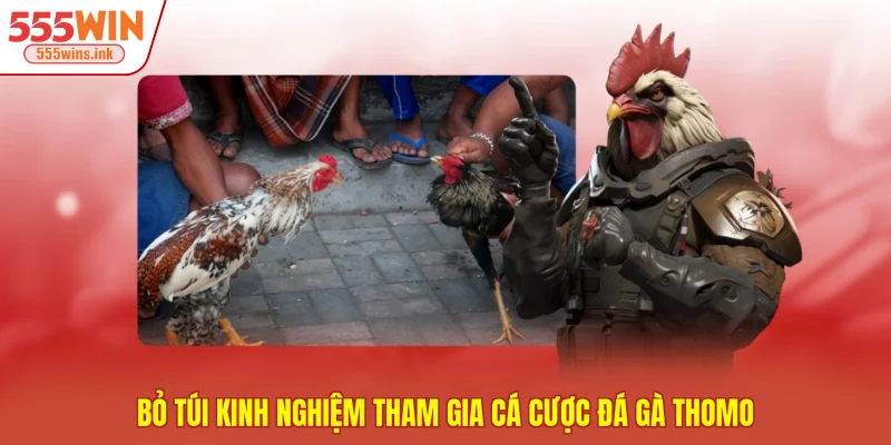 Bỏ túi kinh nghiệm tham gia cá cược đá gà Thomo