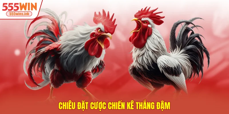 Chiêu đặt cược chiến kê thắng đậm 