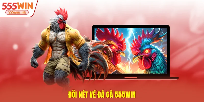 Đôi nét về đá gà 555WIN