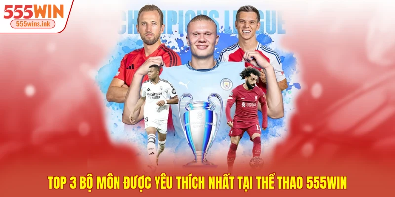 Top 3 bộ môn được yêu thích nhất tại thể thao 555WIN 